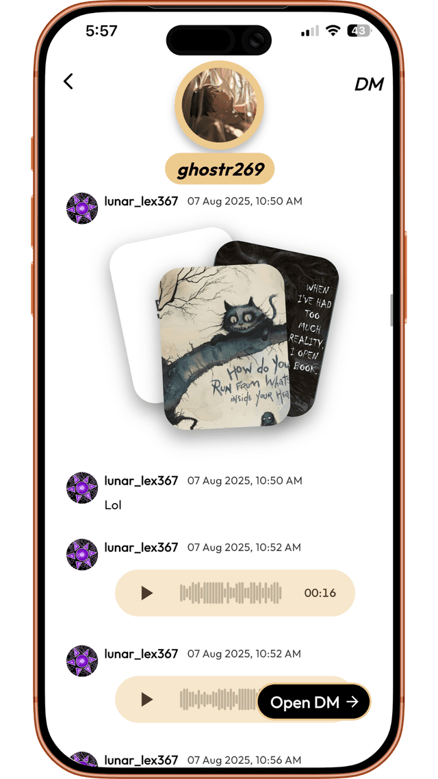 Your full message history.