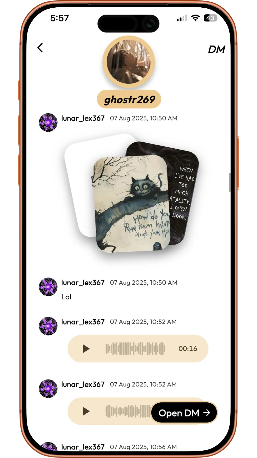 Friendcord message view with an Open DM button